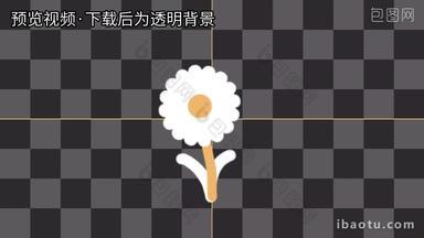 白色花朵摇摆MG动画透明通道